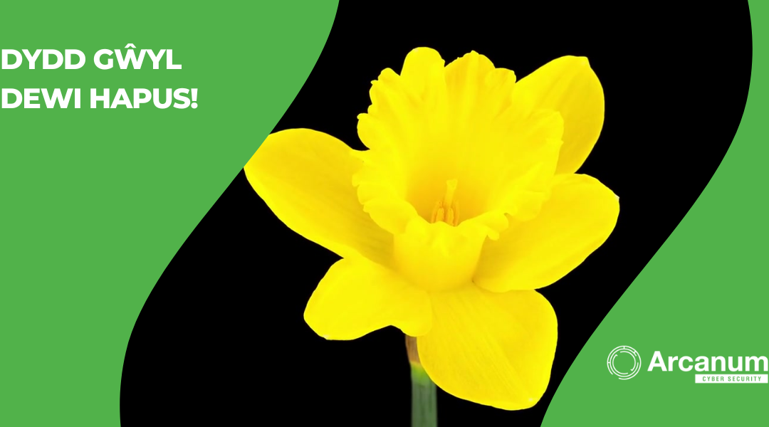 Dydd Gŵyl Dewi Hapus! Happy St David’s Day!
