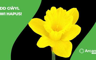 Dydd Gŵyl Dewi Hapus! Happy St David’s Day!